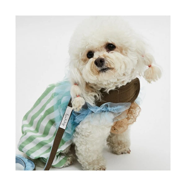 ルイスドッグ louisdog Walk With Me/French Blue TUTU【小型犬 犬用 ハーネス リード カラー セット セレブ】