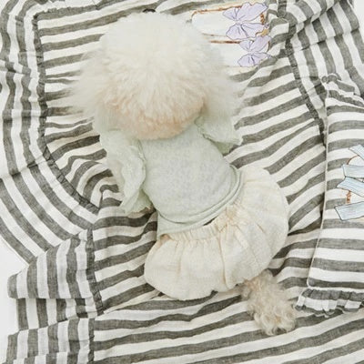 ルイスドッグ louisdog Crema Puff Shorts【小型犬 犬服 つなぎ ロンパース パンツ セレブ】