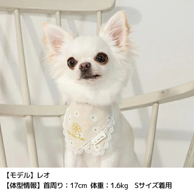 アントゥトゥ Un TouTou デイジー柄ストライプスタイ【小型犬 犬服 犬用 アクセサリー スタイ グッズ セレブ】