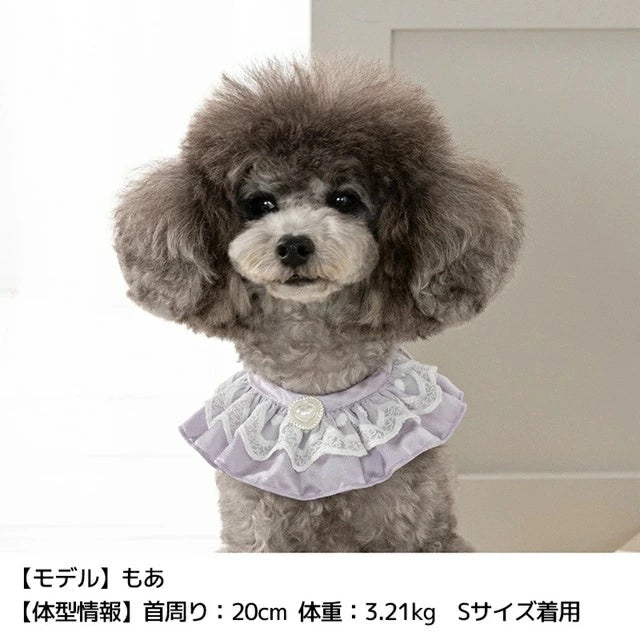 アントゥトゥ Un TouTou ハートレーススタイ【小型犬 犬服 犬用 アクセサリー スタイ グッズ セレブ】