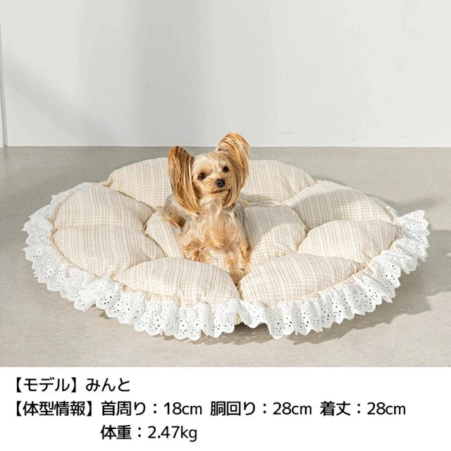 アントゥトゥ Un TouTou チェック柄レースラウンドベッド F【小型犬 犬用 ベッド マット ラグ クッション グッズ セレブ】