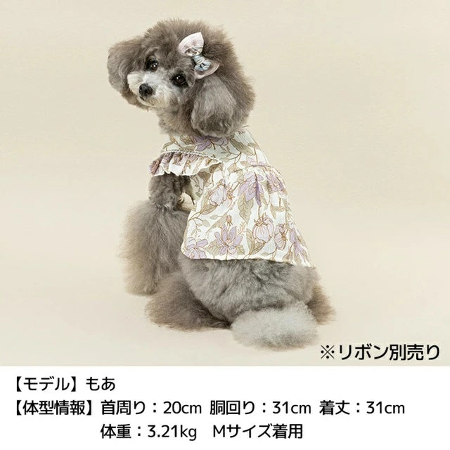 アントゥトゥ Un TouTou 肩フリル切り替えワンピ【小型犬 犬用 犬服 ワンピース スカート ドレス セレブ】