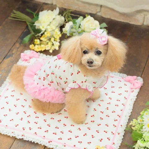 きゃんナナ CanNana さくらんぼシンプルワンピース A-556【小型犬 犬服 ドッグウェア ワンピース スカート】
