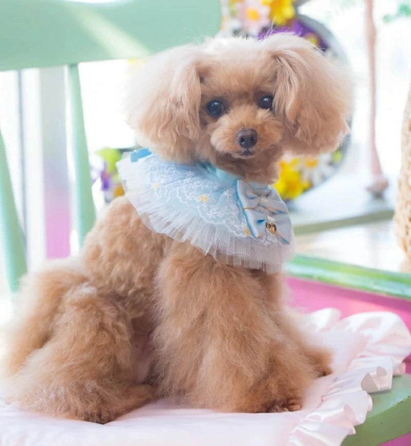 ブルブブ BUL BU-BU STARスタイ【小型犬 犬用 アクセサリー スタイ セレブ】