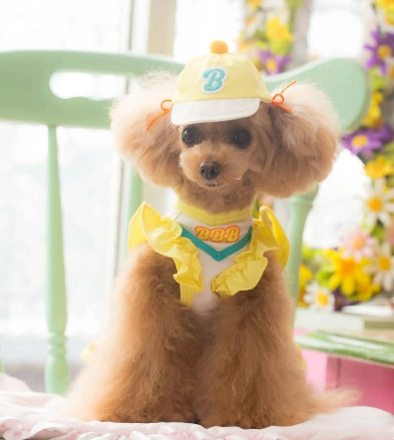 ブルブブ BUL BU-BU チアキャップ【小型犬 犬用 帽子 キャップ 野球帽 セレブ】