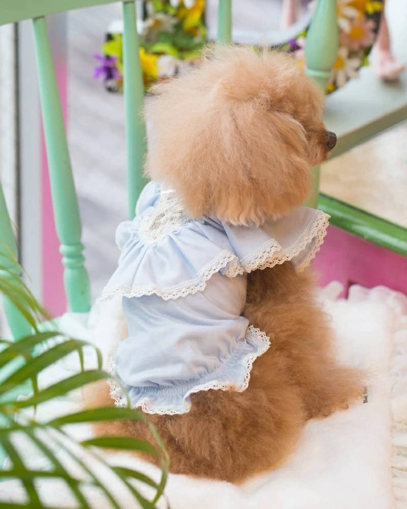 ブルブブ BUL BU-BU ナイティキャミソール【小型犬 犬服 トップス キャミソール ノースリーブ セレブ】