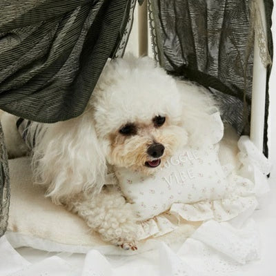 ルイスドッグ louisdog Carry Me Pillow/Snuggle Vibe【小型犬 犬用 枕 ピロー セレブ】