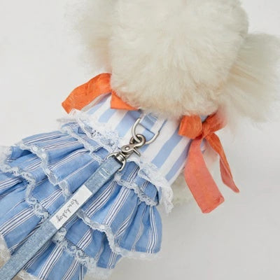 ルイスドッグ louisdog Walk With Me/Capri【小型犬 犬用 ハーネス リード カラー セット セレブ】