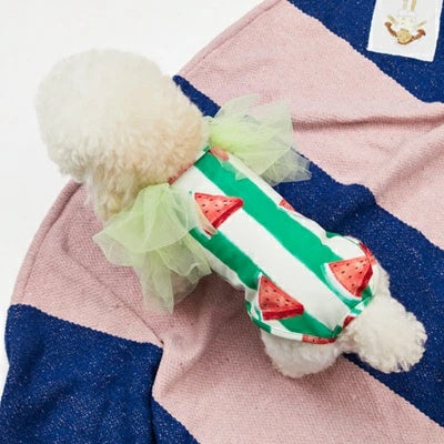 ルイスドッグ louisdog Pool Club/Watermelon Bodysuit【小型犬 犬用 犬服 ボディスーツ 水着 セットアップ セレブ】