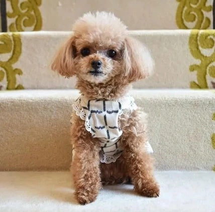 プエルト PUERTO KASURIガーデンエプロン(WH)【小型犬 犬服 ウエア トップス カットソー エプロン セレブ】