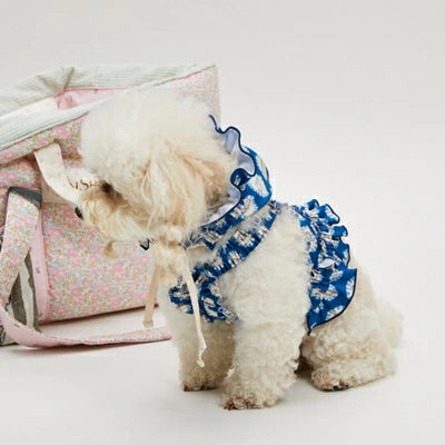 ルイスドッグ louisdog Pool Club/Strawberry Bonnet【小型犬 犬用 犬服 セットアップ アクセサリー 帽子 セレブ】