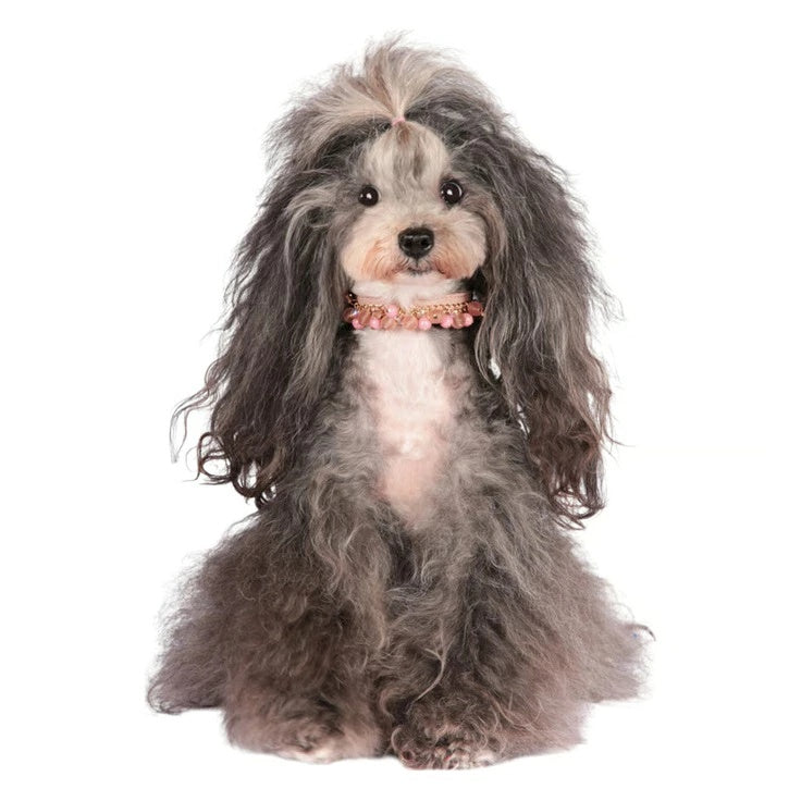 シャーロットドレス Charlotte's Dress Art. f1015N collar Pioggia di perle【犬用 カラー ハーネス リード セレブ】