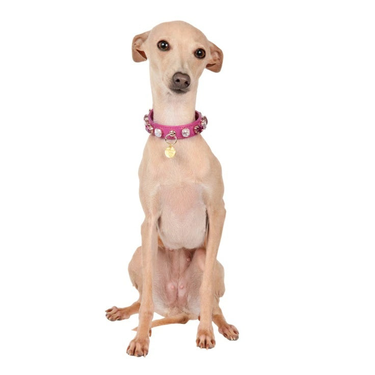 シャーロットドレス Charlotte's Dress Art. f1568N collar Darlene【犬用 カラー ハーネス リード セレブ】
