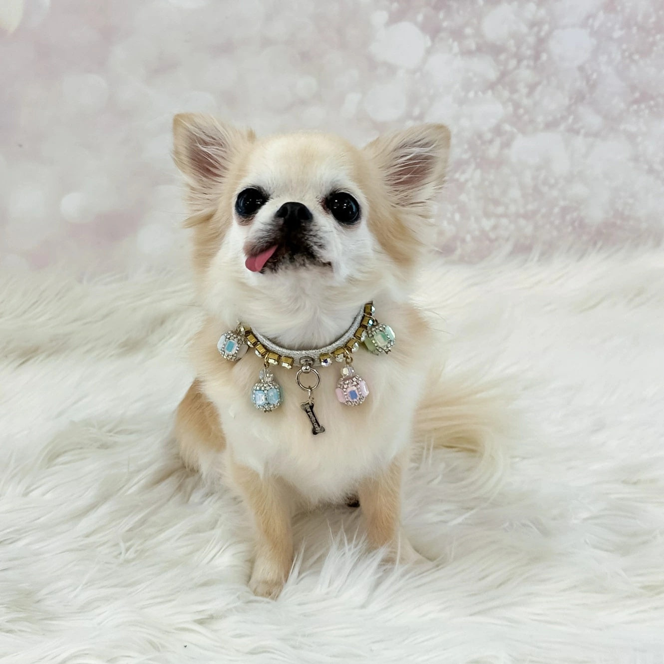 フォーペッツオンリー For Pets Only Pastel Game Collar Silver【犬用 カラー 首輪 セレブ】