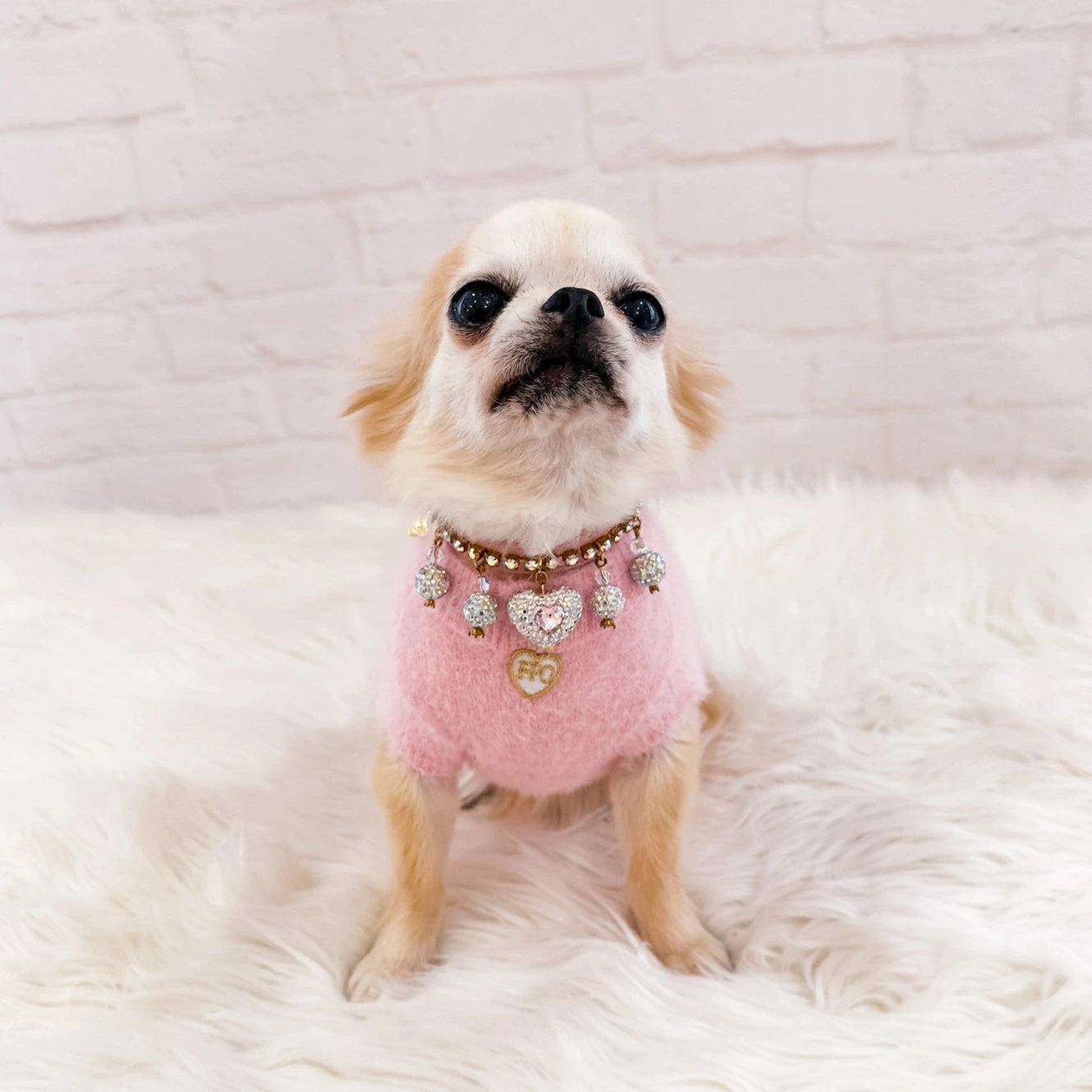 フォーペッツオンリー For Pets Only Precious Heart Collar【犬用 カラー 首輪 セレブ】