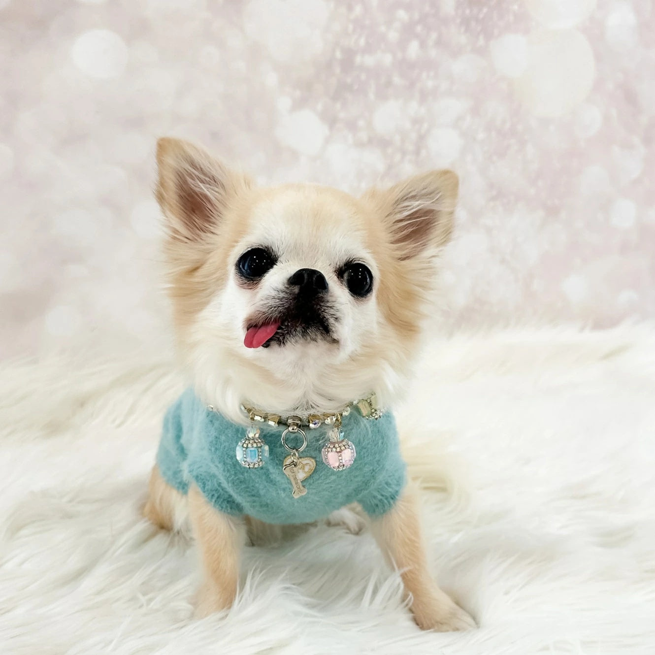 フォーペッツオンリー For Pets Only TopoMio Diamond Rainbow Cuddle Pull Acqua【犬服 トップス ニット セーター セレブ】