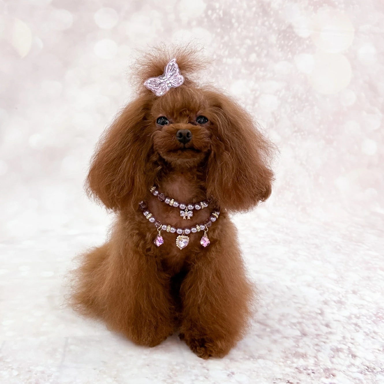 フォーペッツオンリー For Pets Only Lilac Goddess Bijoux【犬用 アクセサリー ネックレス セレブ】