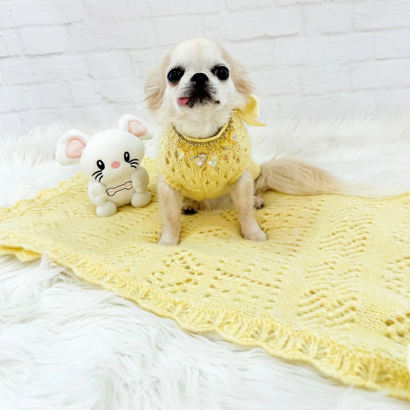 フォーペッツオンリー For Pets Only Les B?b?s Cover Yellow【犬用 ブランケット セレブ】