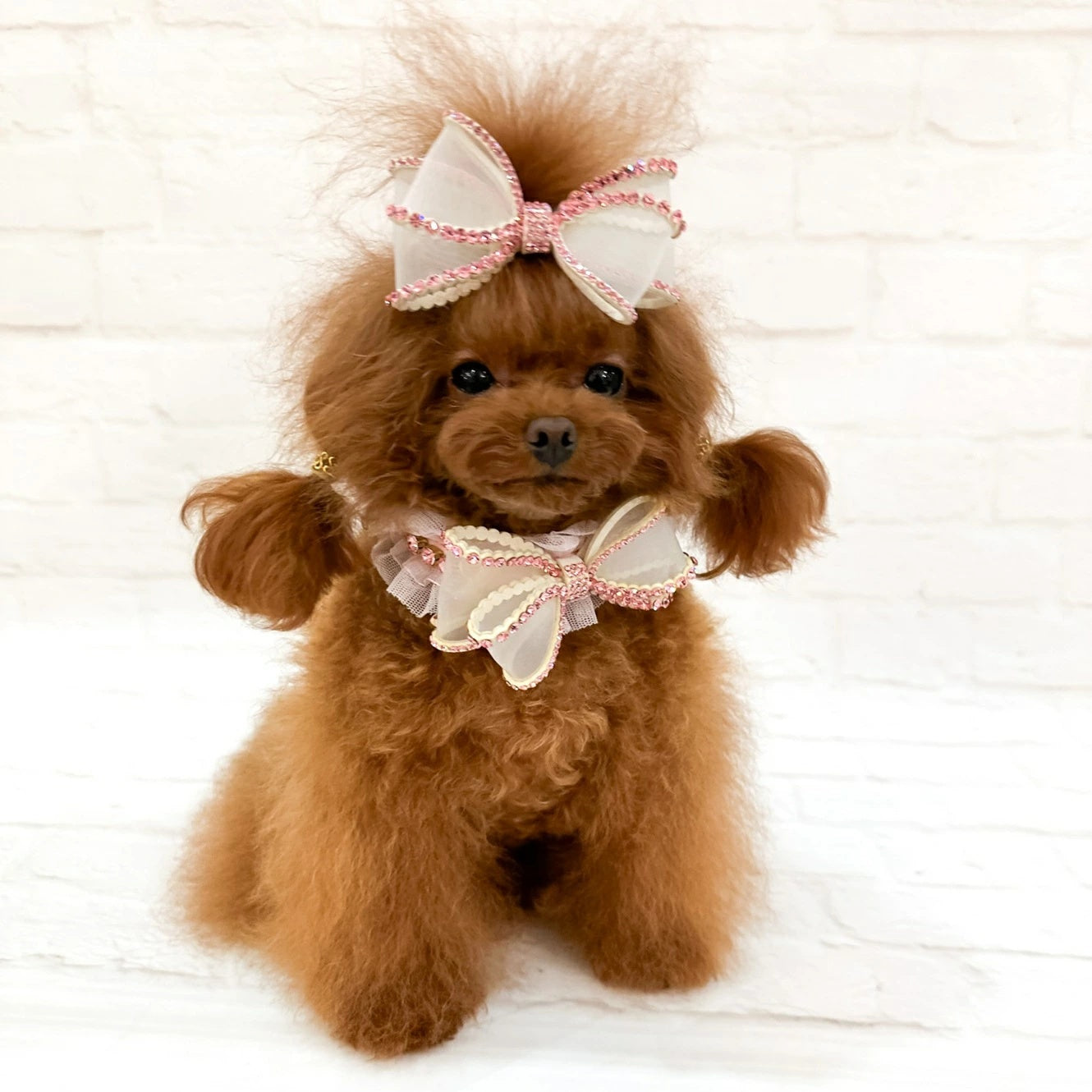 フォーペッツオンリー For Pets Only Perfection In A Bow Party Collar Pink【小型犬用 犬用 カラー 首輪 お散歩 セレブ】