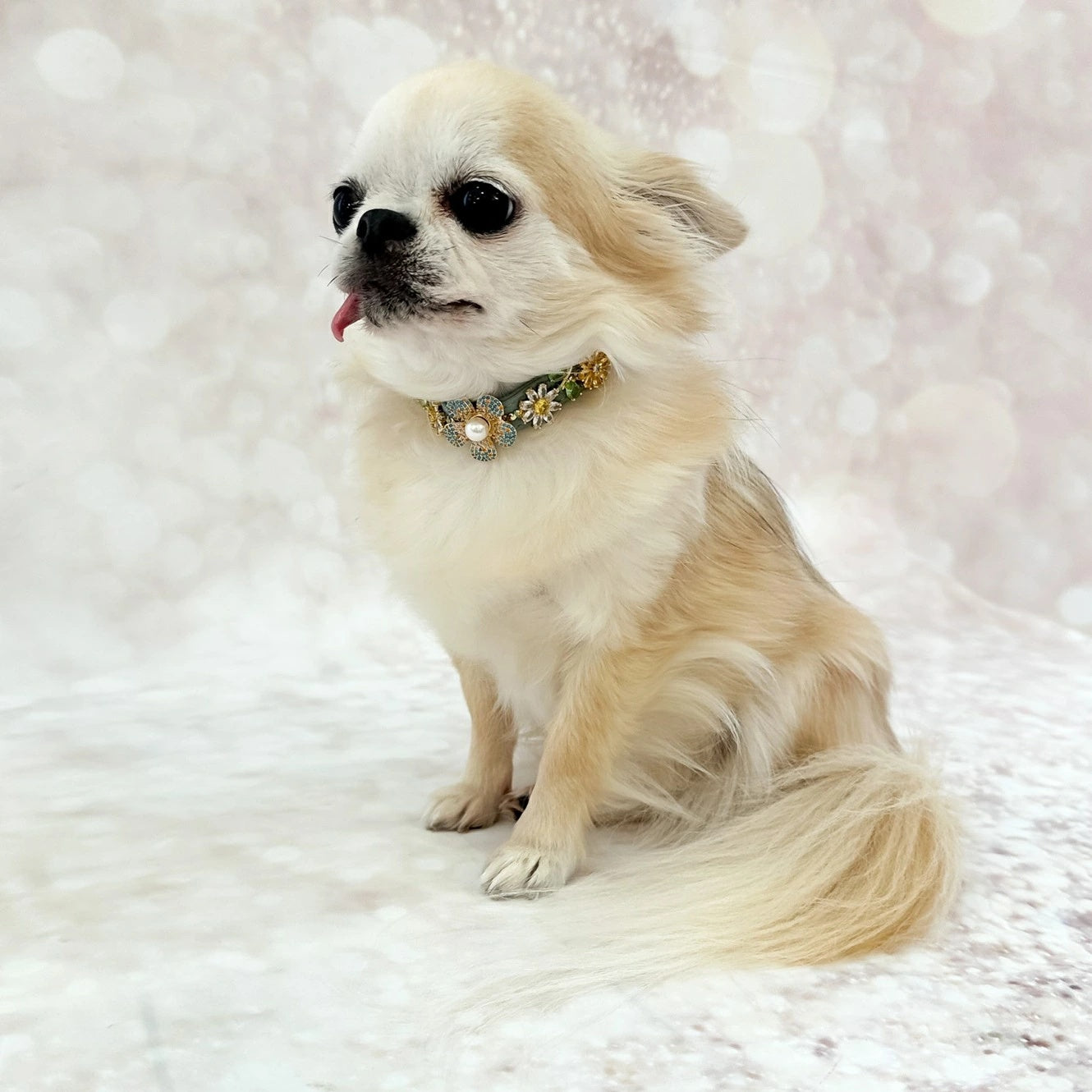 フォーペッツオンリー For Pets Only Garden Gem Collar【小型犬用 犬用 カラー 首輪 お散歩 セレブ】
