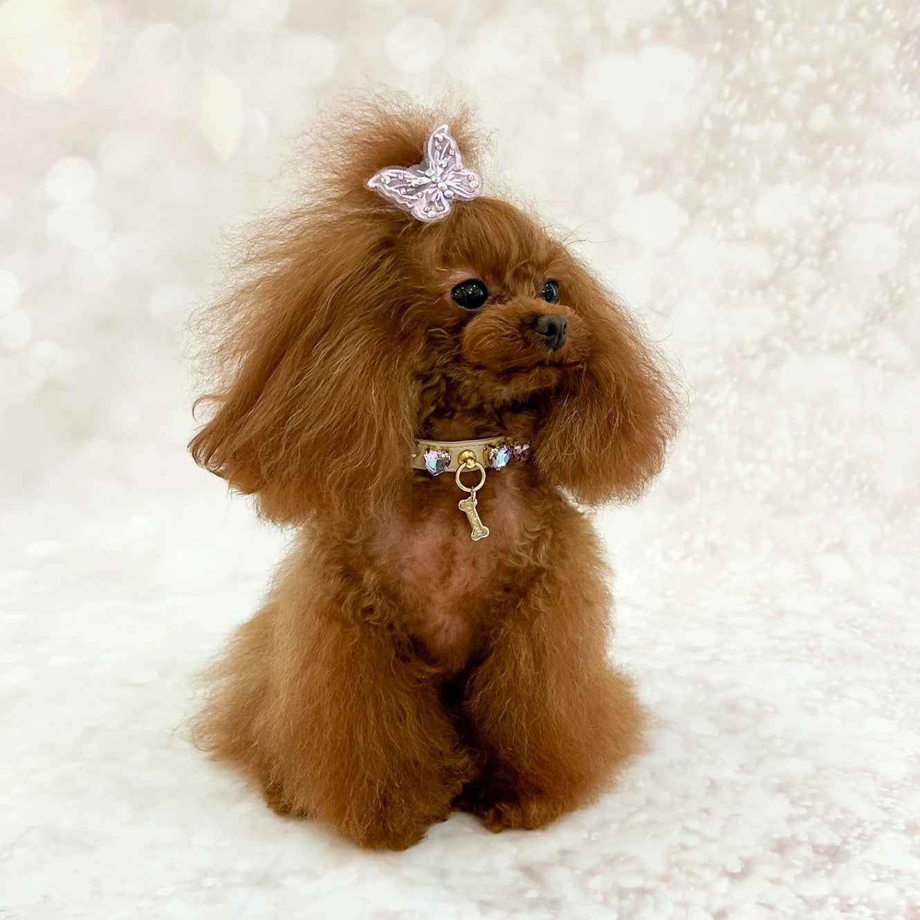 フォーペッツオンリー For Pets Only Lilac Candy Diamond Collar【小型犬用 犬用 カラー 首輪 お散歩 セレブ】