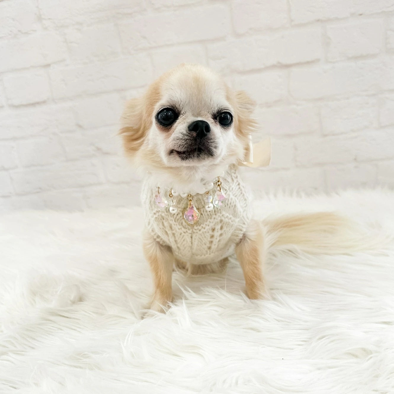 フォーペッツオンリー For Pets Only LeLes B?b?s Pull Yvory【小型犬用 犬服 トップス ニット セーター セレブ】