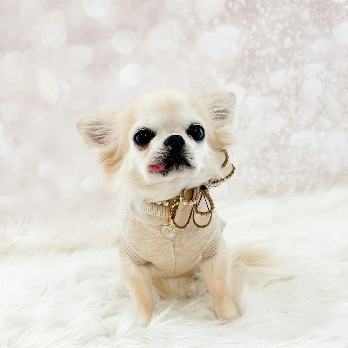 フォーペッツオンリー For Pets Only Mon Coeur Dolcevita【小型犬用 犬服 トップス ハイネック セレブ】