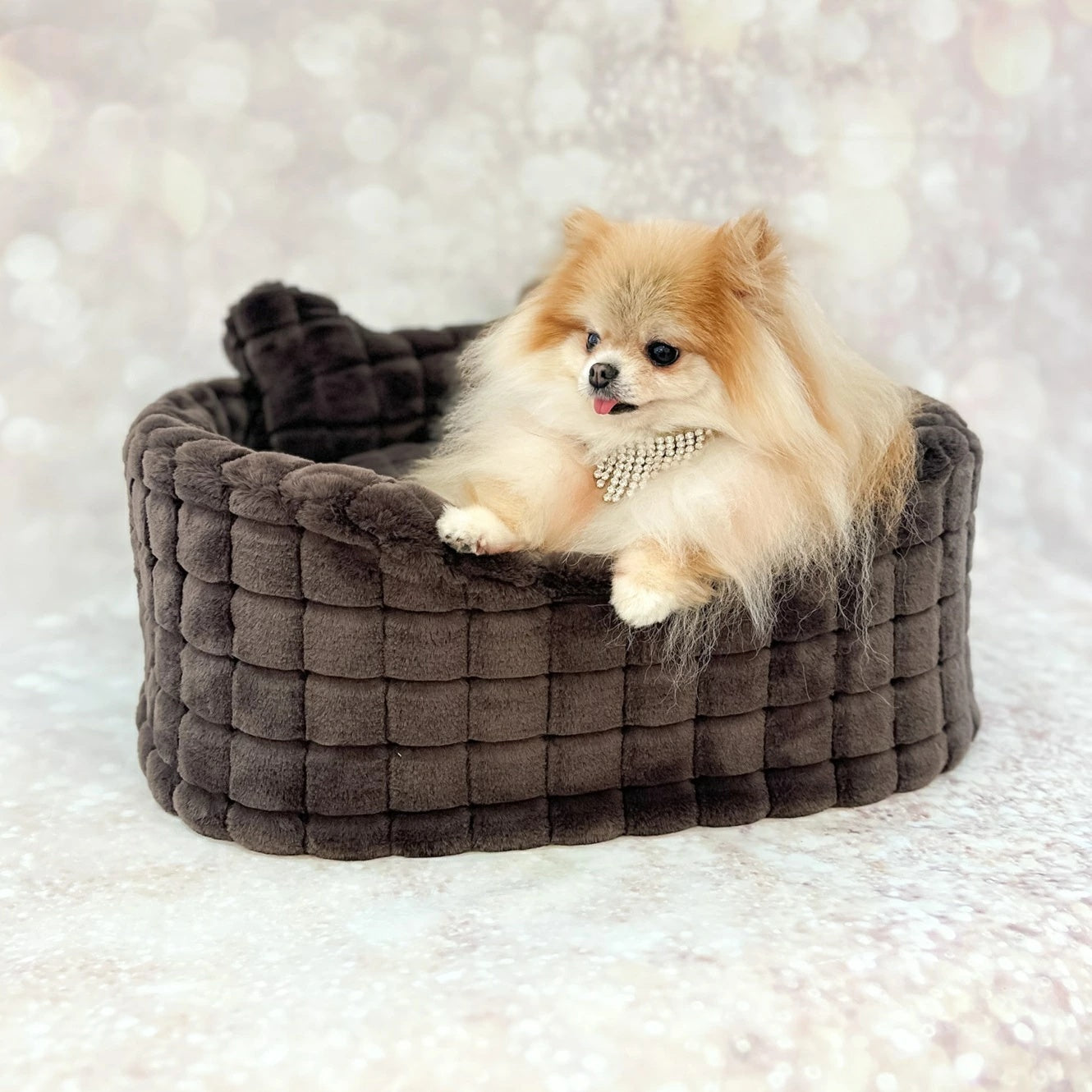 フォーペッツオンリー For Pets Only Posh Fur Sofa Choco【小型犬 犬用 ベッド クッション セレブ】