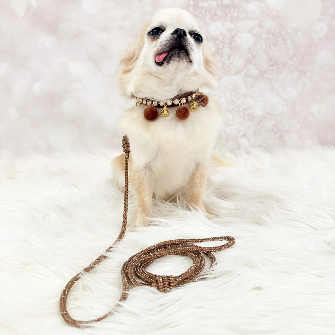 フォーペッツオンリー For Pets Only Crystal Babe Leash Topaz/Gold【小型犬用 犬用 リード セレブ】