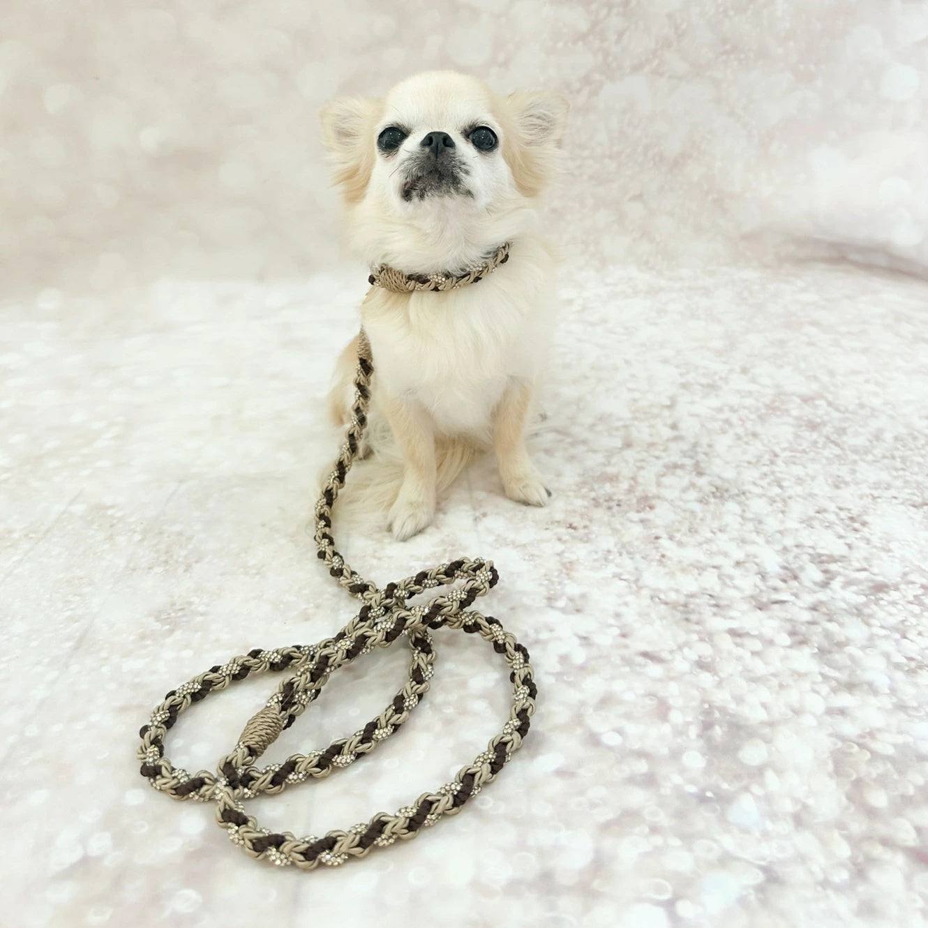フォーペッツオンリー For Pets Only The Magic Island Leash Rope & Strass Choco【小型犬用 犬用 リード セレブ】