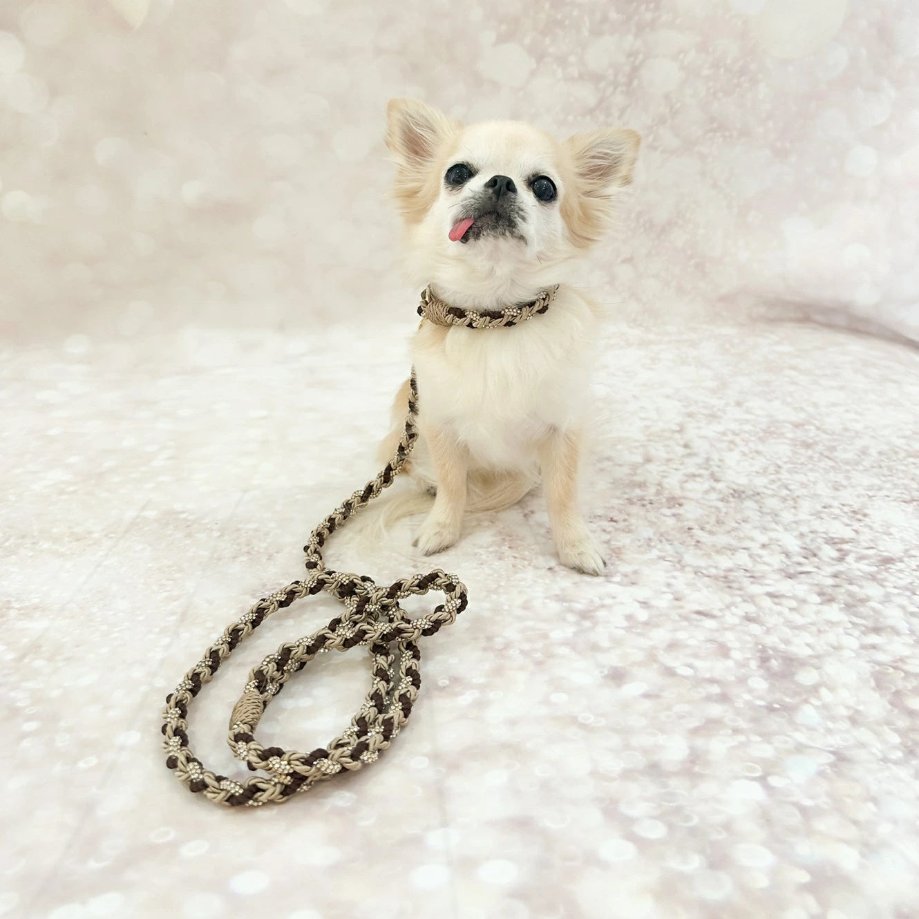 フォーペッツオンリー For Pets Only The Magic Island Collar Rope & Strass Choco【小型犬用 犬用 カラー 首輪 セレブ】