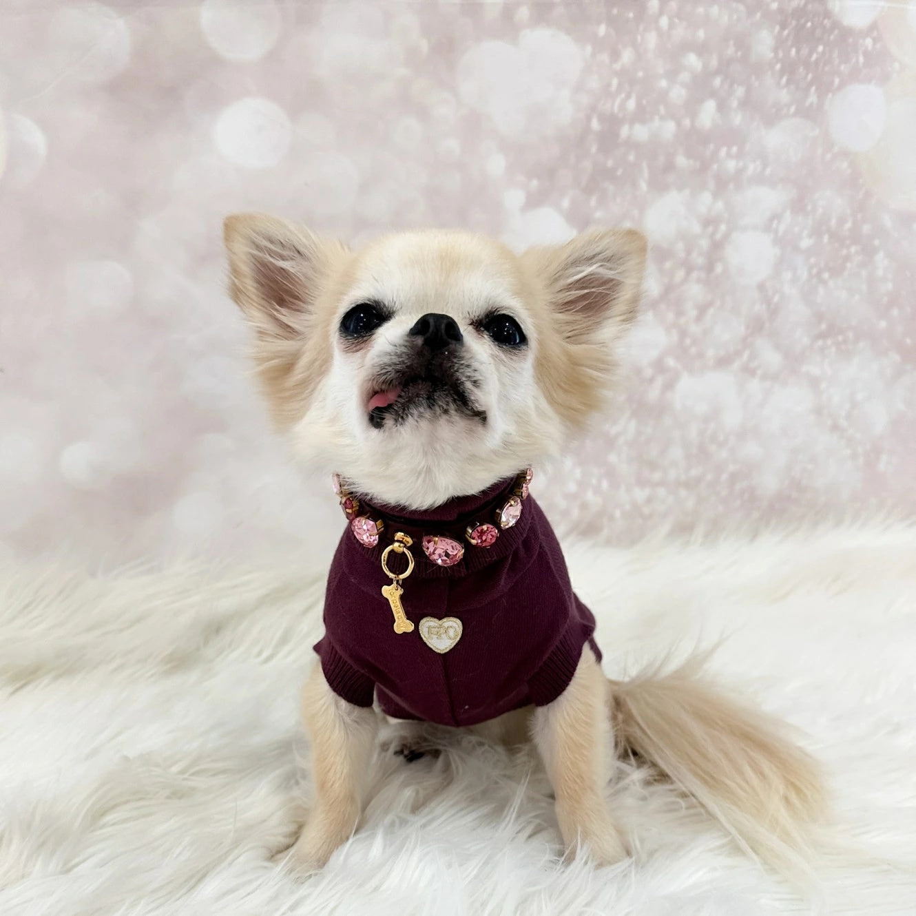 フォーペッツオンリー For Pets Only Burgundy Candy Diamond Collar【小型犬用 犬用 カラー 首輪 セレブ】