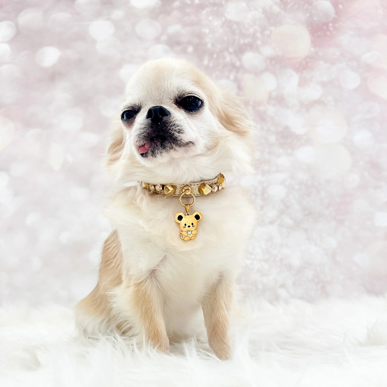 フォーペッツオンリー For Pets Only TopoMio Gold Treasure Collar【小型犬用 犬用 カラー 首輪 セレブ】