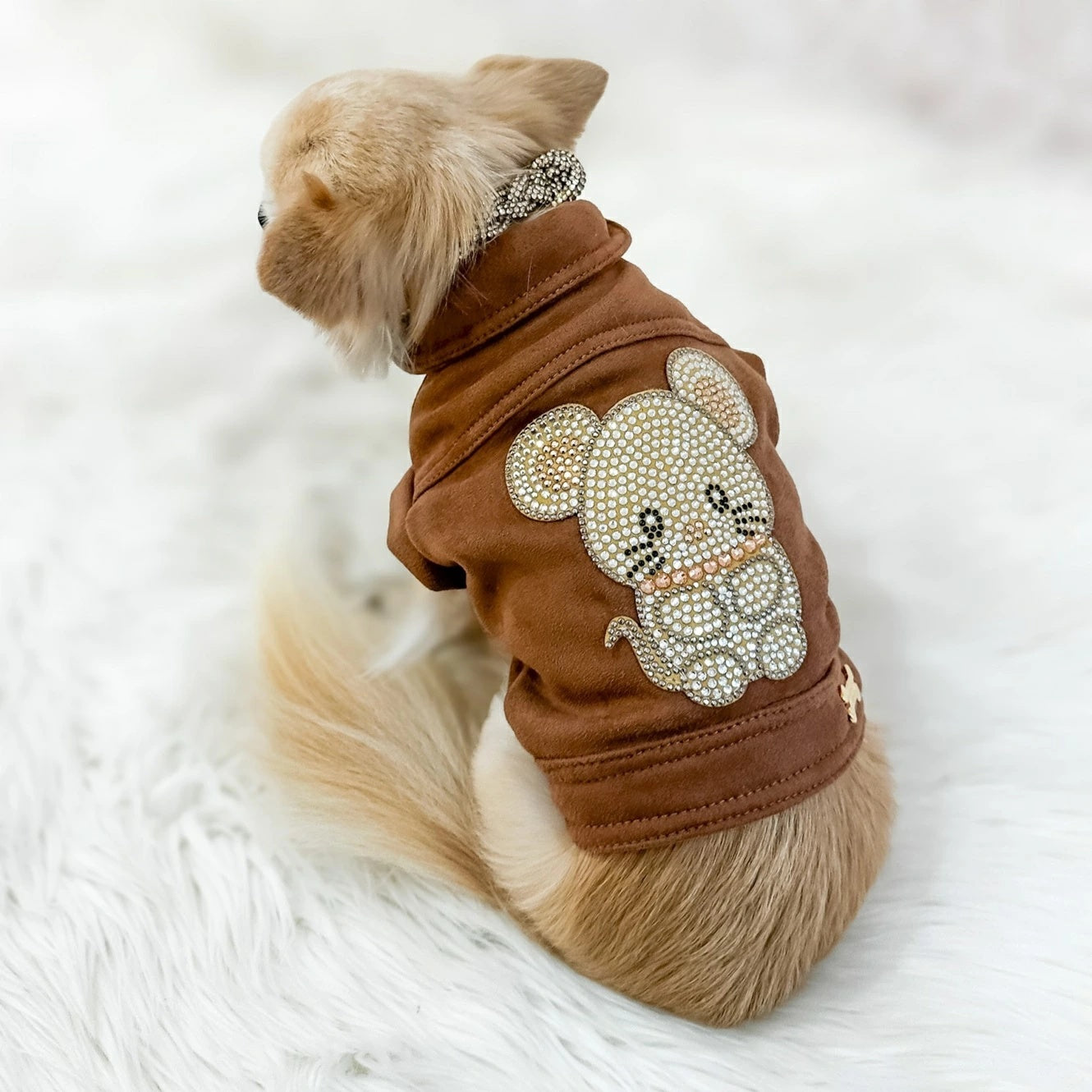 フォーペッツオンリー For Pets Only TopoMio Lover Collar Deep Blue【小型犬用 犬服 アウター セレブ】