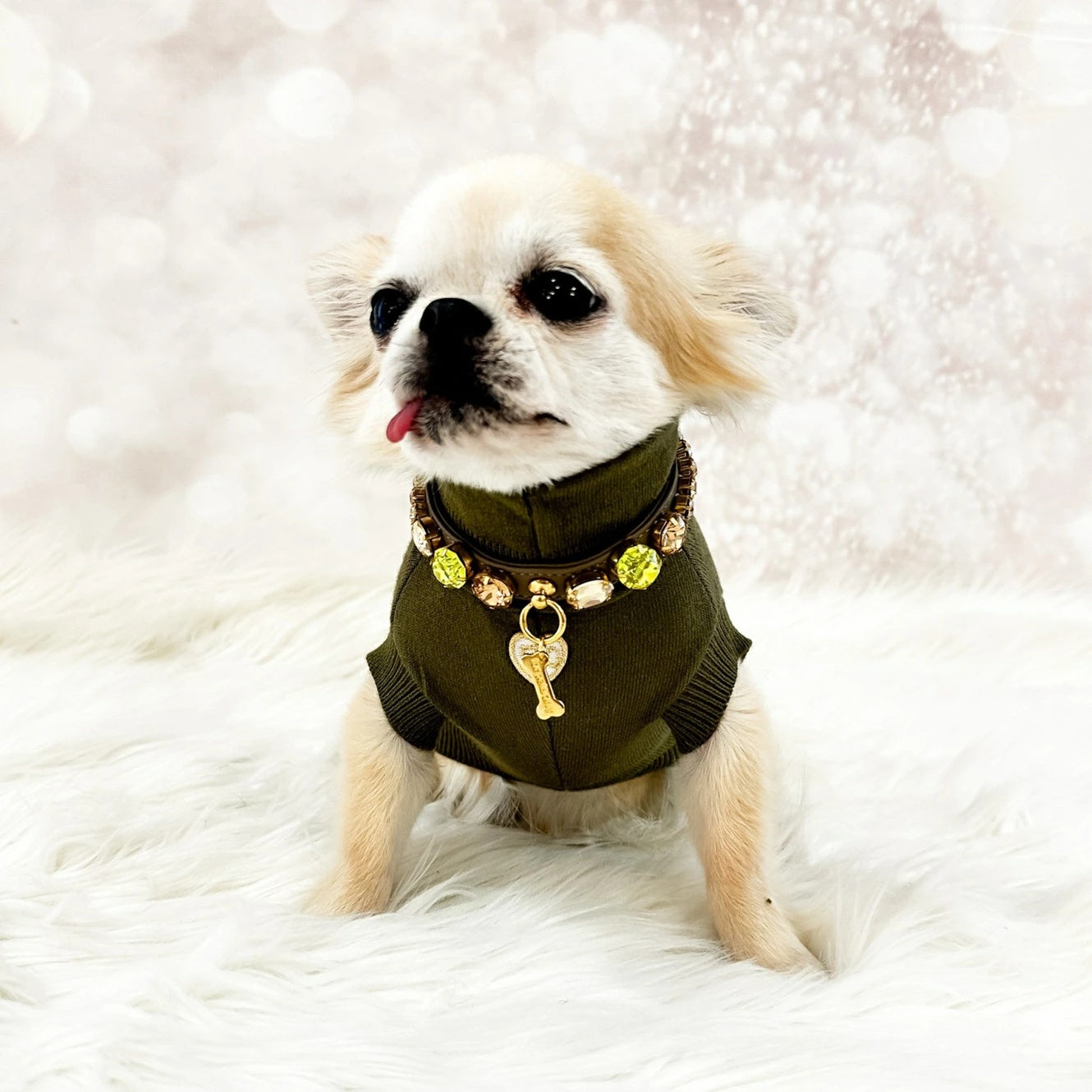 フォーペッツオンリー For Pets Only Don't Touch Me Dolcevita【小型犬用 犬服 トップス セーター ニット セレブ】