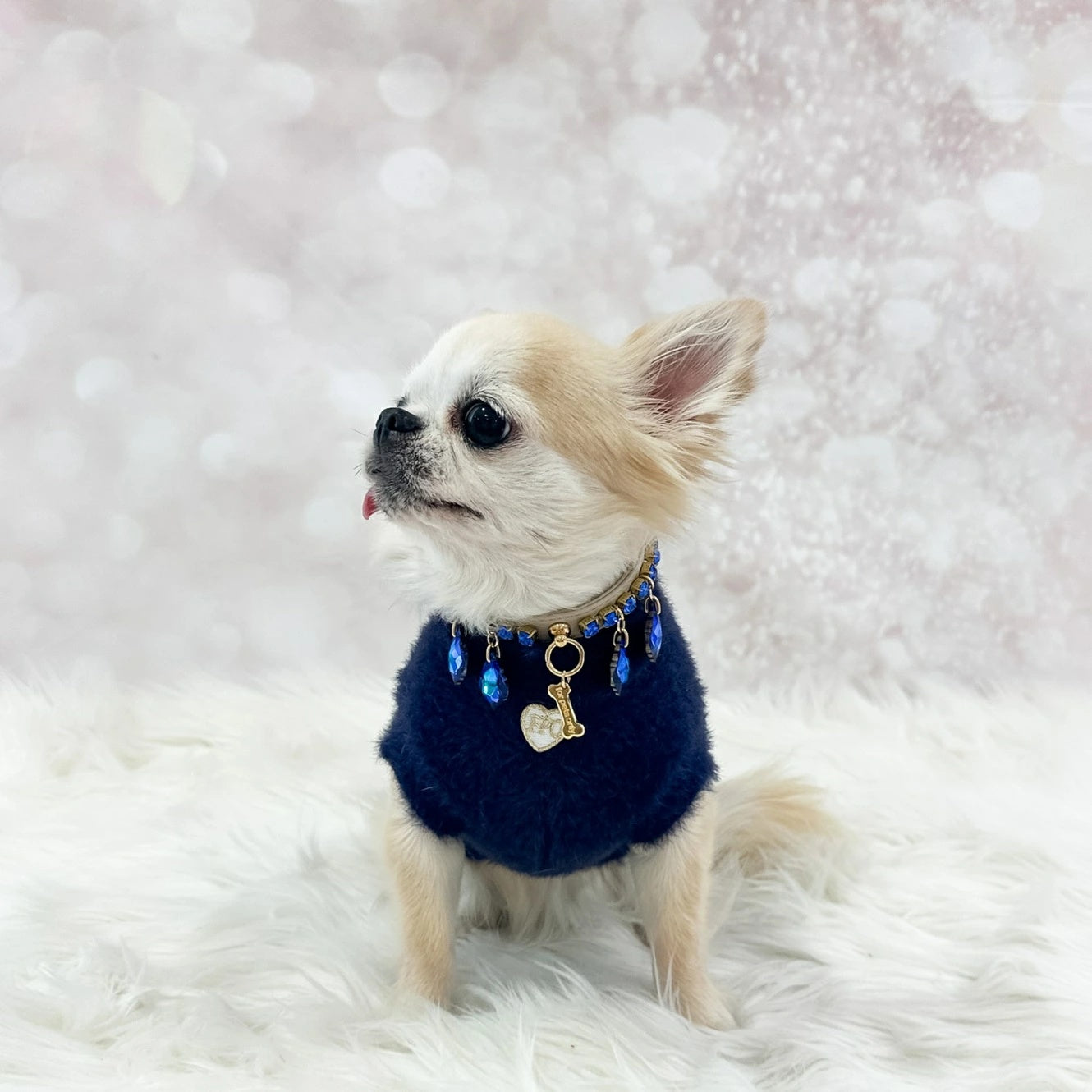 フォーペッツオンリー For Pets Only More Amore Pull Deep Blue【小型犬用 犬服 トップス セーター ニット セレブ】