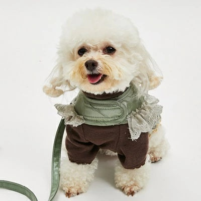 ルイスドッグ louisdog Walk With Me/Silky Green【小型犬 犬用 ハーネス カラー リード セット セレブ】