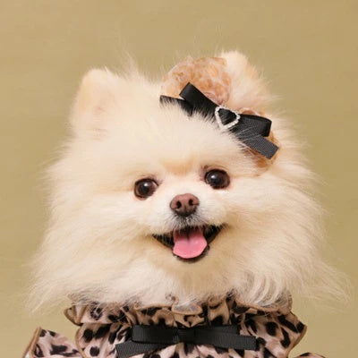 ゴッドピヴァ GODPIVA レオパードパフバレッタ【小型犬 犬用 ヘアアクセサリー バレッタ セレブ】