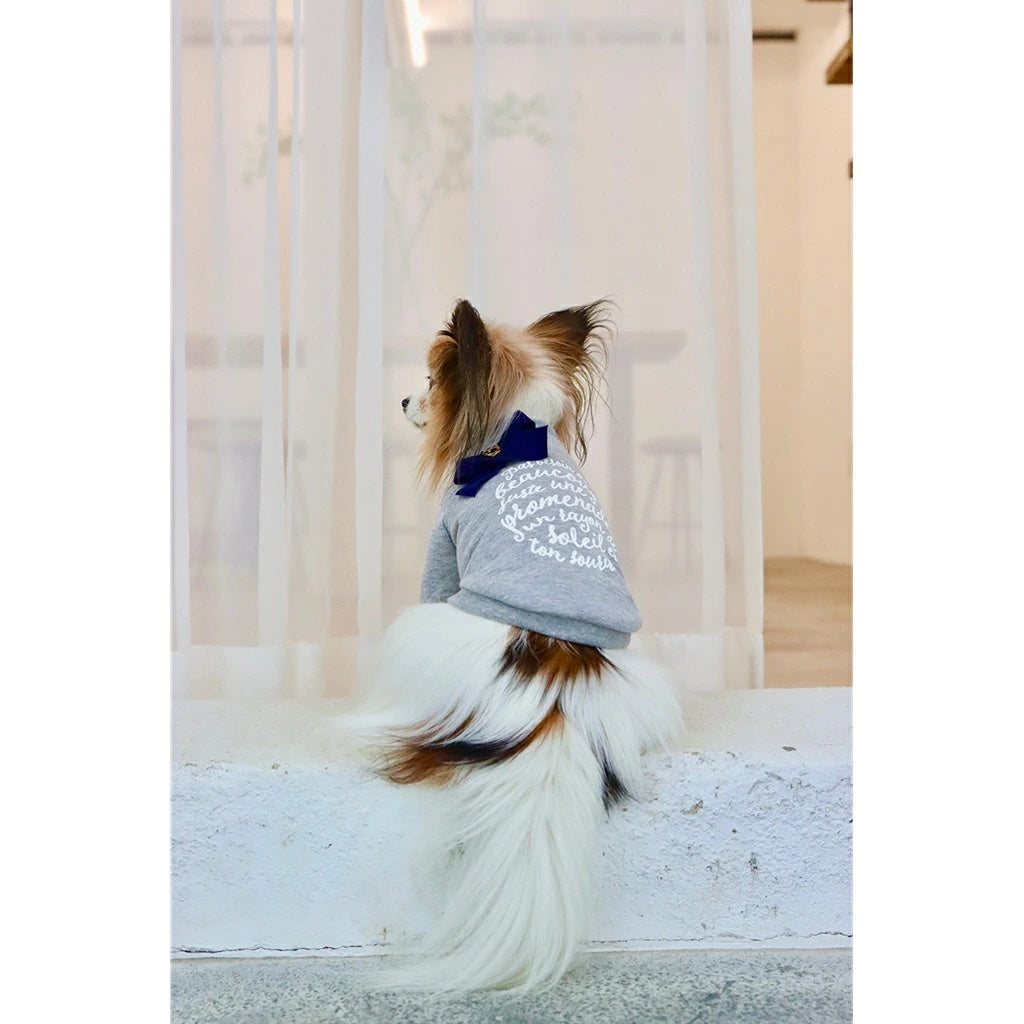 ミムット mimtto Taylor【小型犬 犬服 トップス トレーナー スウェット セレブ】