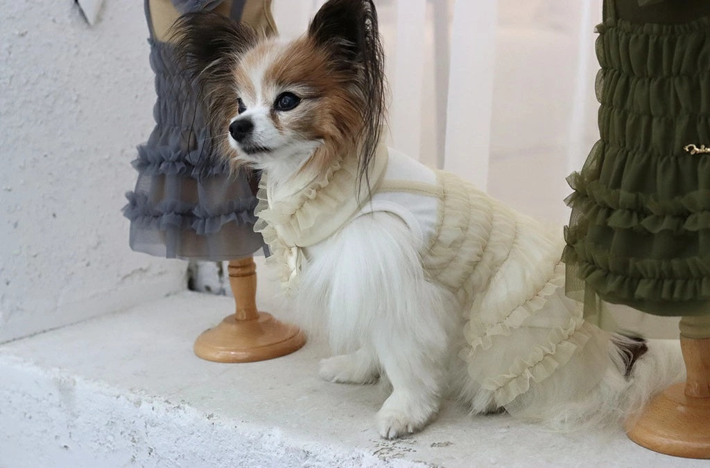 ミムット mimtto Tulle dress【小型犬 犬服 ワンピース ドレス スカート セレブ】