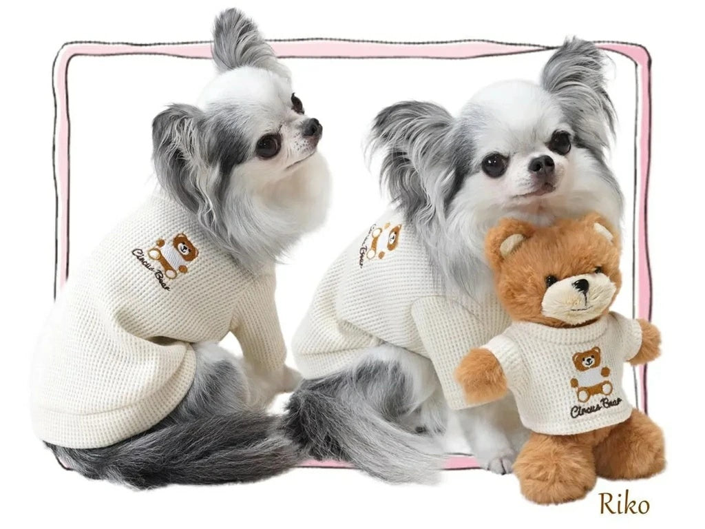 サーカスサーカス circus circus Toy Bear Glitter Waffle T(CCW-0286)【小型犬 犬用 ウエア トップス Tシャツ】