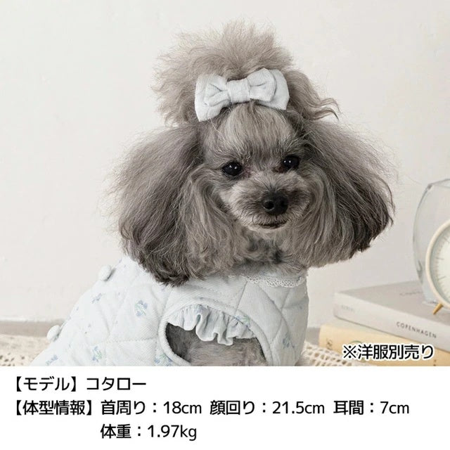 アントゥトゥ Un TouTou コーデュロイリボン Free【小型犬 犬用 ヘアアクセサリー セレブ】