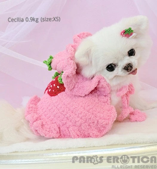 パリエロ PARIERO ニットフリルポンチョ【小型犬 犬服 ポンチョ トップス アウター セレブ】