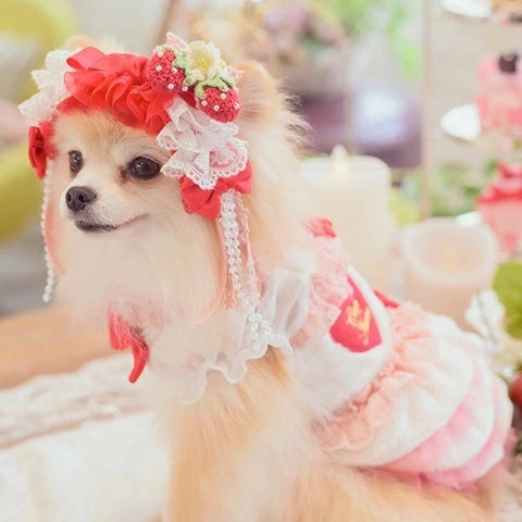 きゃんナナ CanNana いちごデコレーションヘッドドレス HD-032 ☆11月末入荷予定☆【小型犬 ヘッドドレス ヘアーアクセサリー】