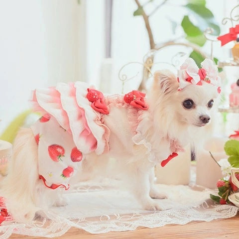 きゃんナナ CanNana かぶってはける いちごパンツ 1170【小型犬 犬服 ボドムス パンツ ズボン】