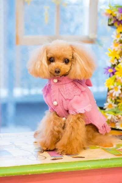 ブルブブ BUL BU-BU WOOLコートワンピ【小型犬 犬服 アウター コート セレブ】
