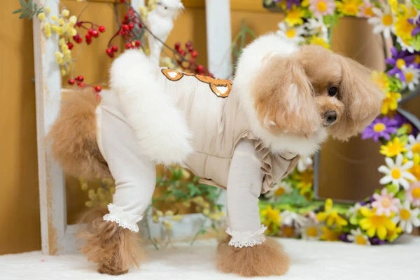 ブルブブ BUL BU-BU キラキラベア中綿P/K【小型犬 犬服 アウター ジャケット セレブ】