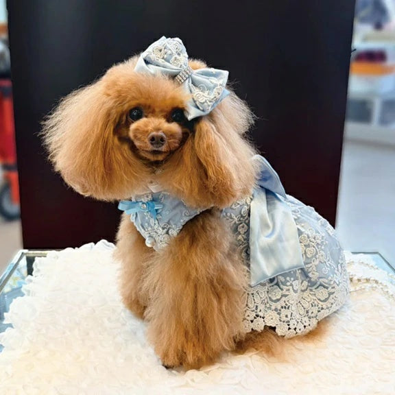 リュクスバーディ Luxe birdie エタニティバレッタ【小型犬 犬用 ヘアアクセサリー バレッタ セレブ】