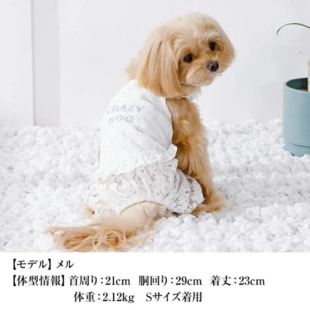 クレイジーブー CRAZYBOO レーシーつなぎ【犬服 つなぎ ロンパース ズボン セレブ】