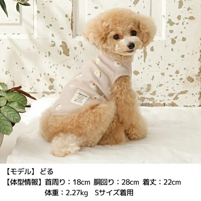 ティノティート TINOTITO 目玉焼きワッフルタンク【小型犬 犬服 ドッグウェア トップス タンクトップ】